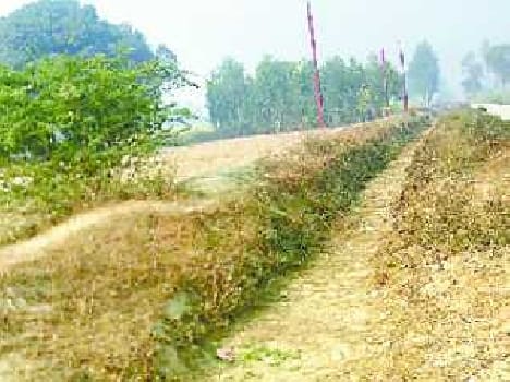Rsyora canal got dry